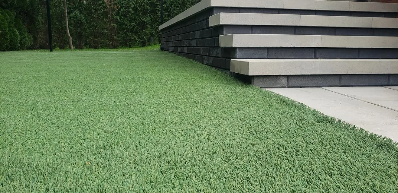 Green lawn beside a walkway and entrance steps